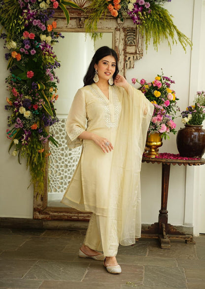 Soft  chanderi  Kurta with  foil mirror work embroidery  attached  lining cotton (NMC01)